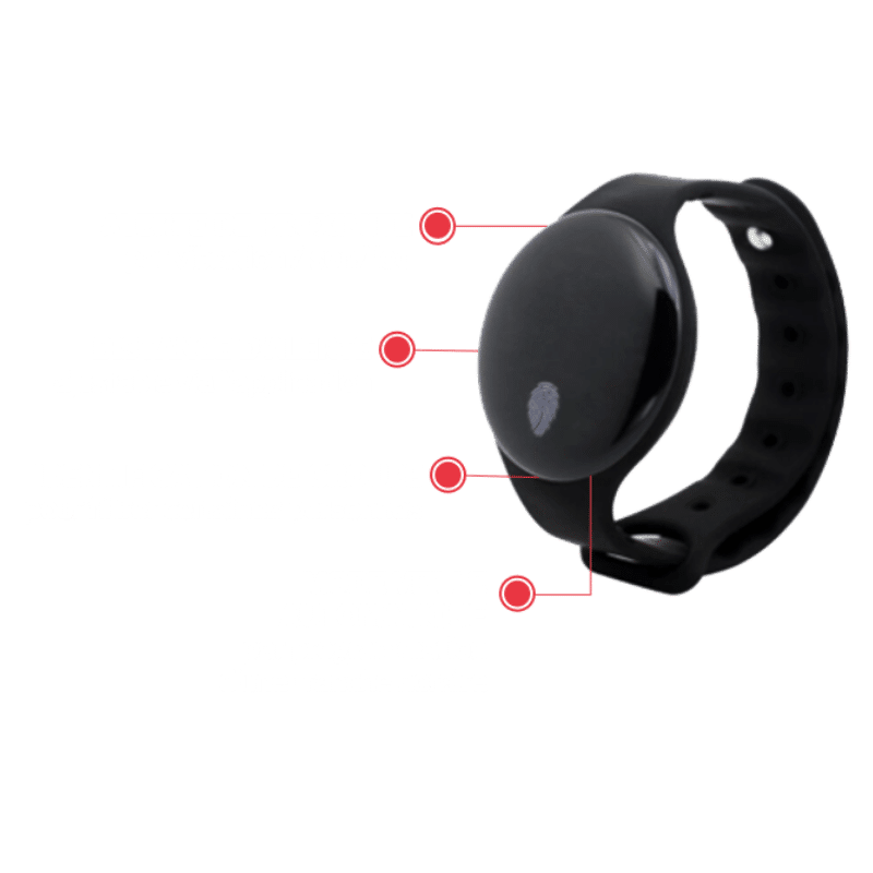 Watch e-SBB1